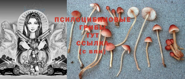 герыч Краснослободск